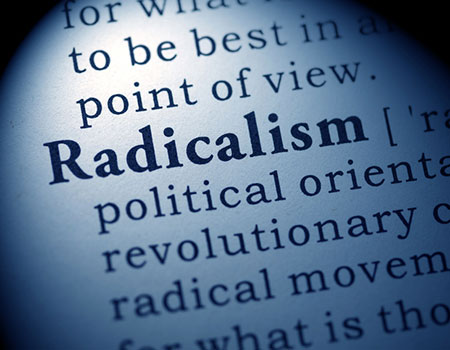 An image of the dictionary focused on the word Racialism